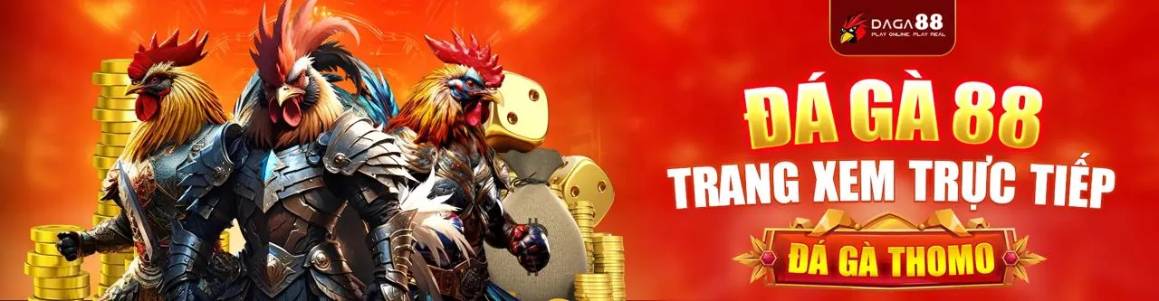 Đá gà trực tuyến kịch tính tại Haywin